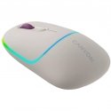 Canyon MW-22 mouse Universal Ambidextrous RF Wireless + Bluetooth Optical 1600 DPI