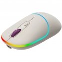 Canyon MW-22 mouse Universal Ambidextrous RF Wireless + Bluetooth Optical 1600 DPI