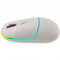 Canyon MW-22 mouse Universal Ambidextrous RF Wireless + Bluetooth Optical 1600 DPI