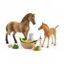 schleich HORSE CLUB 42432 набор игрушек schleich HORSE CLUB 42432 набор игрушек