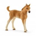 schleich HORSE CLUB 42432 spēļu komplekts