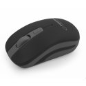Esperanza EM126EK mouse RF Wireless Optical 1600 DPI Esperanza EM126EK mouse RF Wireless Optical 1600 DPI