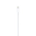 Apple Lightning to USB Cable (1m)