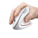 Trust Verto mouse Office Right-hand RF Wireless Optical 1600 DPI Trust Verto mouse Office Right-hand RF Wireless Optical 1600 DPI