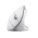 Trust Verto mouse Office Right-hand RF Wireless Optical 1600 DPI Trust Verto mouse Office Right-hand RF Wireless Optical 1600 DPI
