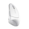 Trust Verto mouse Office Right-hand RF Wireless Optical 1600 DPI Trust Verto mouse Office Right-hand RF Wireless Optical 1600 DPI