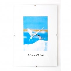 Savex Nuotraukų rėmelis, 30x40 cm, berėmis