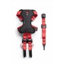 ZOLUX Travel Safe S Dog Harness Red