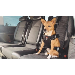 ZOLUX Travel Safe S Dog Harness Black