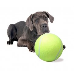 RoGer Giant Tennis Ball Dog Toy XXL