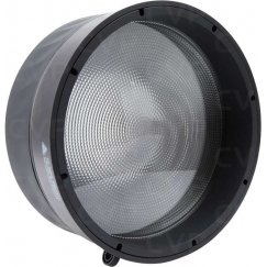 Amaran Fresnel for Ray