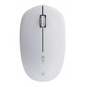 Canyon CNS-CMSW04W mouse Universal Ambidextrous Bluetooth Optical 1200 DPI Canyon CNS-CMSW04W mouse Universal Ambidextrous Bluetooth Optical 1200 DPI