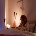 Philips Hue White and colour ambience Stalo lempa „Iris“