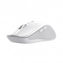 Trust 25674 mouse Universal Ambidextrous Bluetooth 3200 DPI Trust 25674 mouse Universal Ambidextrous Bluetooth 3200 DPI