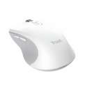 Trust 25674 mouse Universal Ambidextrous Bluetooth 3200 DPI Trust 25674 mouse Universal Ambidextrous Bluetooth 3200 DPI