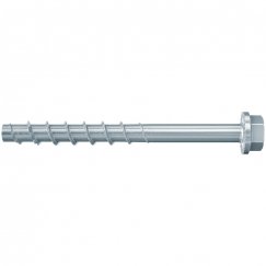 Fischer 536855 kruvi ja polt 100 mm 50 tk