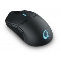 QPAD DX900 hiir Mängimine Mõlemakäeline RF Wireless + USB Type-C Optiline 16000 DPI