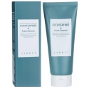 JIGOTT Cicateatree Foam Cleanser 180 ml