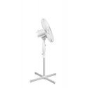 TEESA fan with timer TSA8021