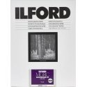 1x 10 Ilford MG RC DL 44M 24x30