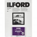 1x100 Ilford MG RC DL 44M 13x18
