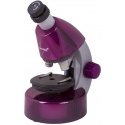 Levenhuk LabZZ M101 amethyst DE
