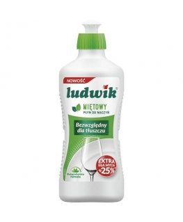 LUDWIK Dishwashing Liquid Mint 900 g