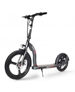 Beaster Scooter El, Scooter, BSVOYAGERDS