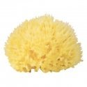 Babu® natural sponge no.12