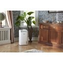 Wood's AD20 dehumidifier and air purifier
