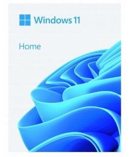 Microsoft Windows 11 Namų BOX USB PL