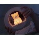 Night light responsive to Zazu Billy, bear, gray