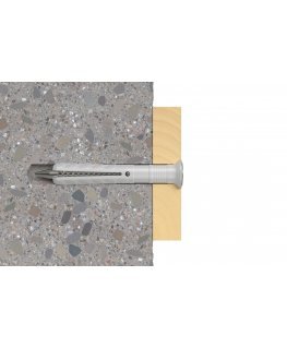 Fischer 48789 screw anchor / wall plug 100 pc(s) Screw & wall plug kit 60 mm