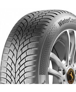Continental Tires WinterContact TS 870 95 H ( CBB 72dB )