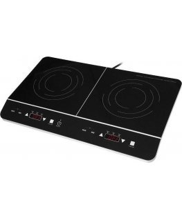 Lafe CIY 002 dual fuel induction cooker