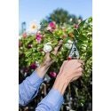 Secateurs FELCO 14