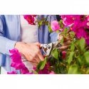 Secateurs FELCO 14