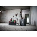 Cross laser level FLEX ALC 3/1-G/R