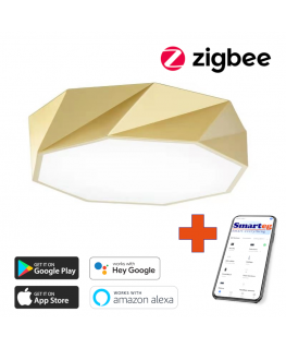 Smart celling lamp 40cm 31W Zigbee
