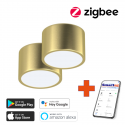 2x Smart ceiling light 15cm 12w with remote Zigbee