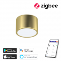Smart ceiling light 15cm 12W Zigbee