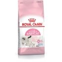 Royal Canin Mother & Babycat (4 kg)