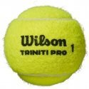 Wilson Triniti Pro tennis ball, 4 pcs