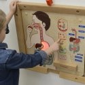 MASTERKIDZ educational board, digestive system