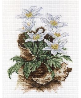 Beldizart First flowers SNV-567
