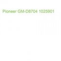 Pioneer GM-D8704