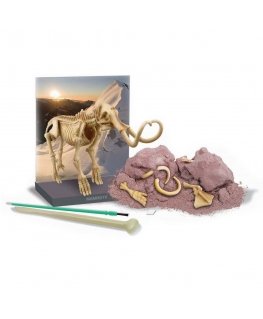 4M Excavations - mammoth