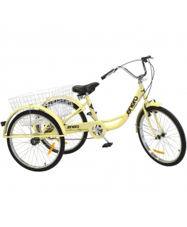 Enero tricycle bicycle