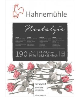 Hahnemühle Nostalgie Dailės spaudinių popierius 50 lapai