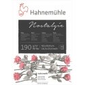 Hahnemühle Nostalgie Dailės spaudinių popierius 50 lapai Hahnemühle Nostalgie Dailės spaudinių popierius 50 lapai